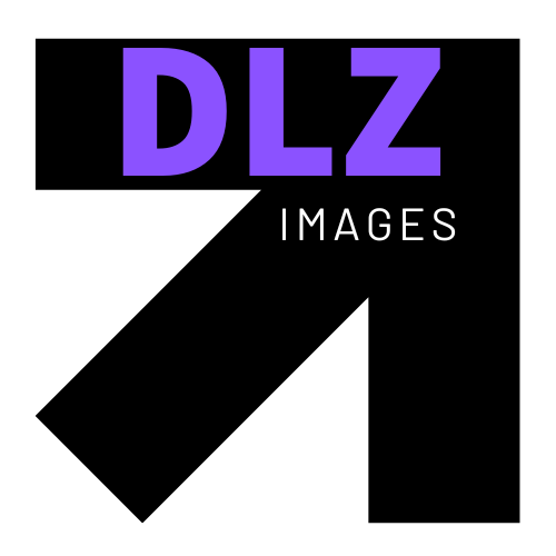 Batch Image Download (DLZ) - Sort, Rename, and Organize in Folders
